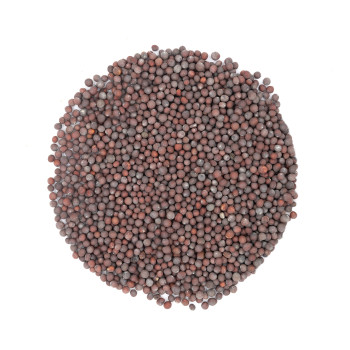 Moutarde brune en grains bio - Cuisine indienne et pickles