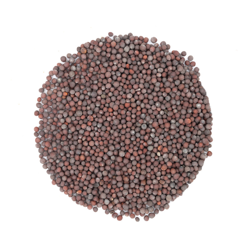 Moutarde brune en grains bio - Cuisine indienne et pickles