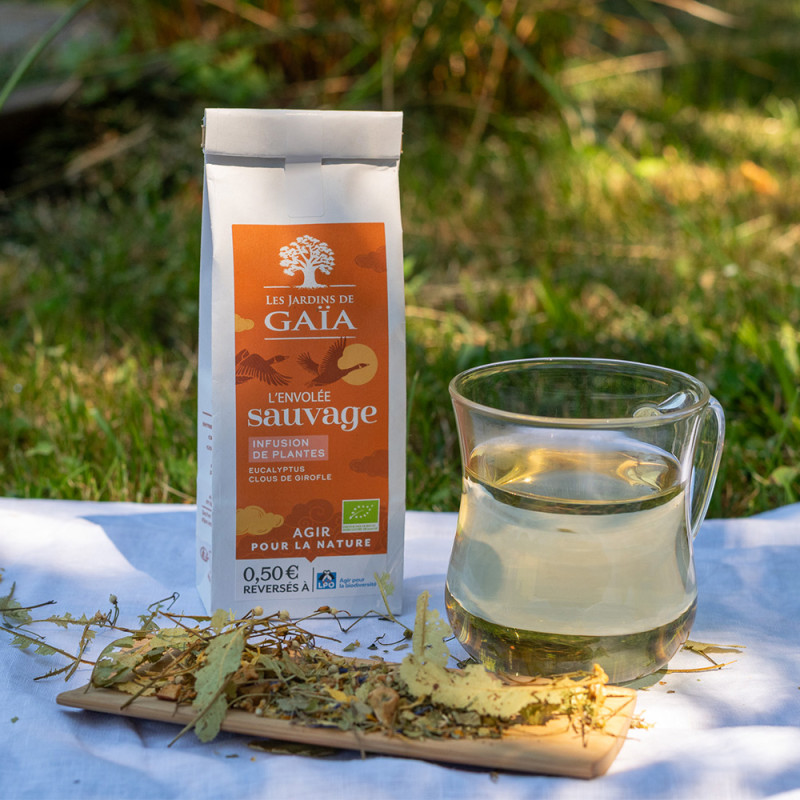 Infusion de plantes et épices bio - L'envolée sauvage