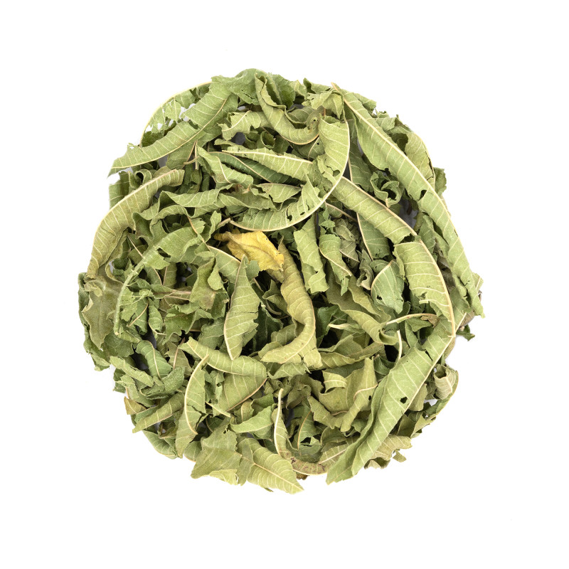 Infusion de plante aux vertus fortifiantes bio - Verveine