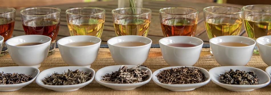 Face-to-face Tea School courses in Wittisheim (France)