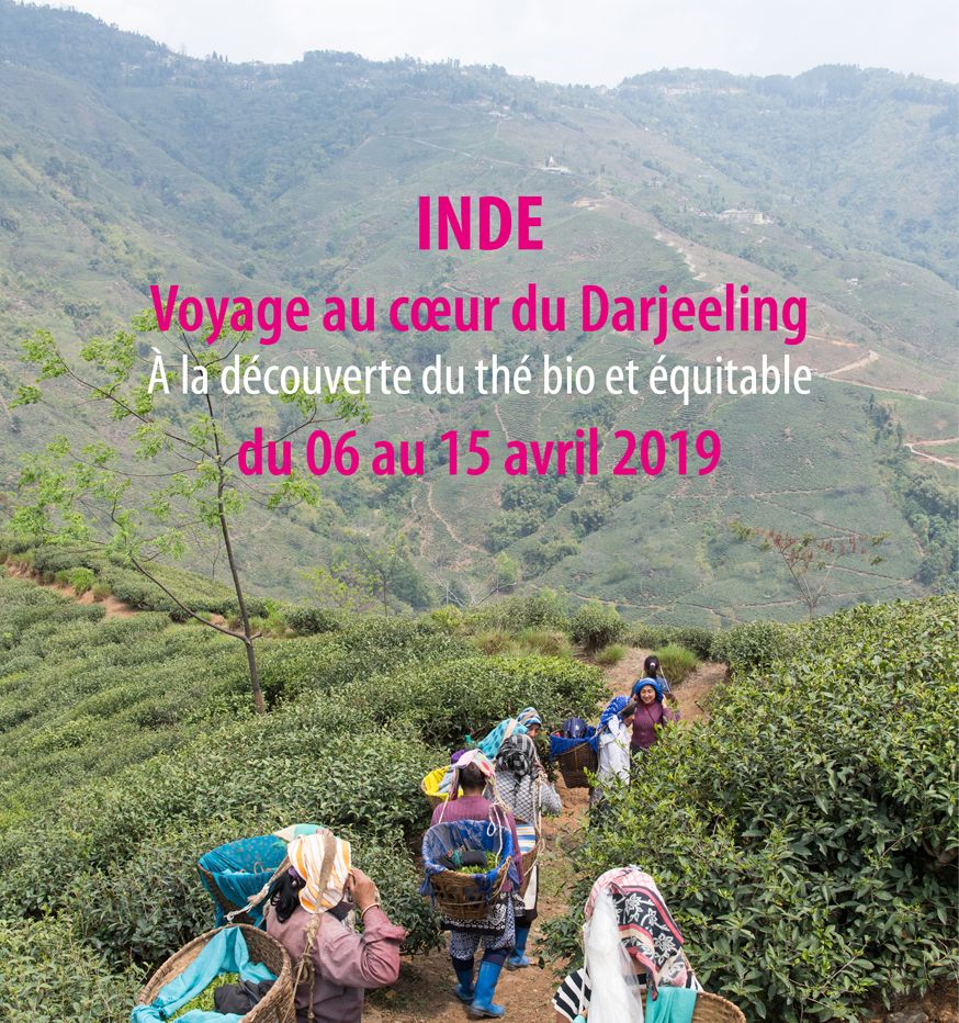 Voyage en Inde au coeur du Darjeeling en partenariat avec Les Jardins de Gaïa